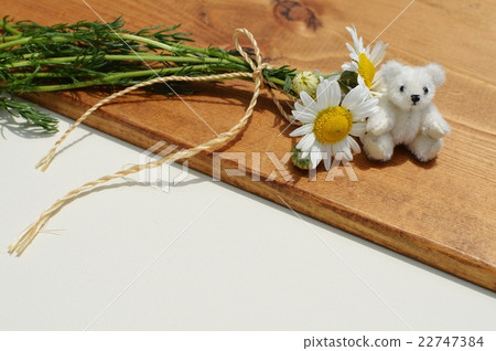 Chamomile flower and teddy bear 22747384