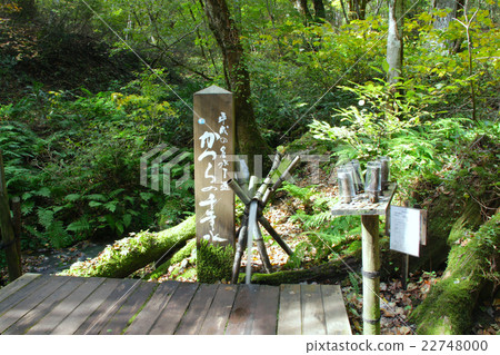 Tajima Kogen Botanical Garden / "Heisei's 100 famous water selections" wig's Millennial Water / Hyogo Prefecture Tourism Hundred First Prize No. 1 22748000