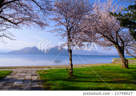 "World Geopark" Toyako and cherry blossoms "World Geopark" Toyako and cherry blossoms 22748027