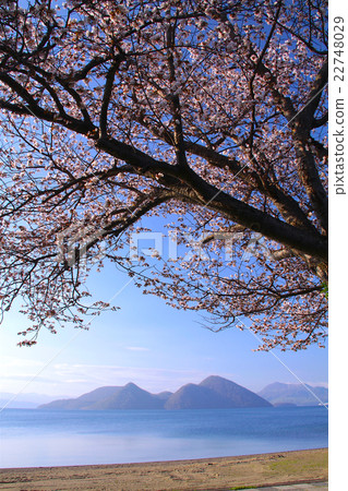 "World Geopark" Toyako and cherry blossoms "World Geopark" Toyako and cherry blossoms 22748029