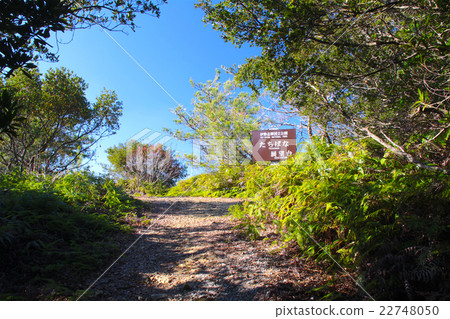 Tachibana observation deck at Ukura garden (Minoru Ise) / Ise Shima National Park 22748050