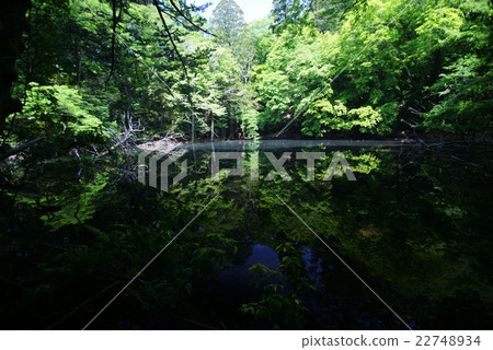 Pond in Silanuta 22748934