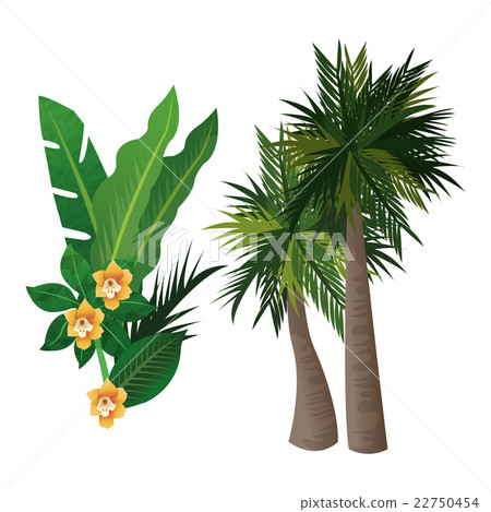 Tropical icon design - Stock Illustration [22750454] - PIXTA
