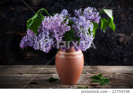 lilac in a vase of different colors  22750596