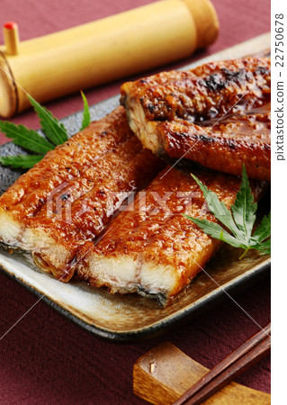eel 22750678