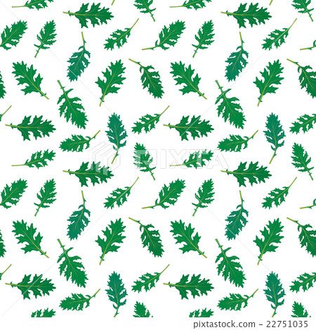 Seamless rucola pattern Seamless rucola pattern 22751035