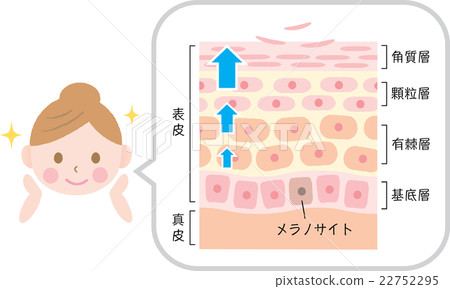 Turn over skin - Stock Illustration [22752295] - PIXTA