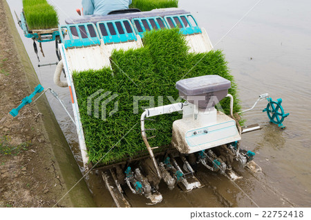 Preparation of rice planting 22752418