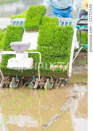 Preparation of rice planting Preparation of rice planting 22752426