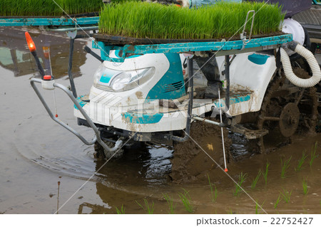 Preparation of rice planting 22752427
