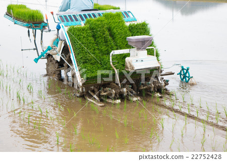 Preparation of rice planting 22752428