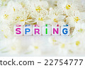 The word spring with flowers 22754777