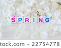 The word spring with flowers 22754778