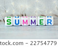 The word summer with flowers 22754779