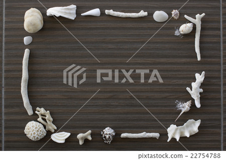 Shellfish and coral frame 22754788