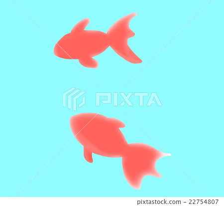 金魚 金魚 22754807