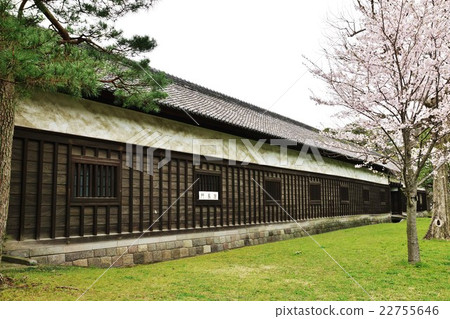 Tokyo Tourist Information Guide to the Imperial Palace - Imperial Palace Dori Street side gate and cherry tree - Horizontal position 22755646