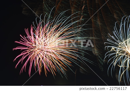 煙花 煙花 22756117