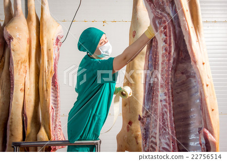 Factory for production of pork meat Factory for production of pork meat 22756514