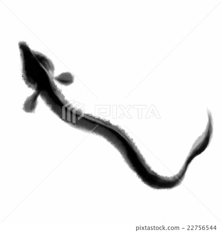 鰻魚 鰻魚 22756544