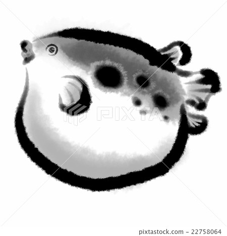 Blowfish 22758064