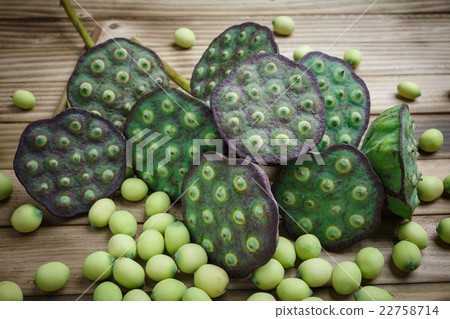 Lotus seeds Lotus seeds 22758714