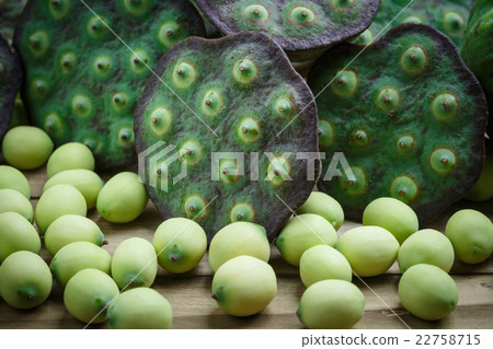 Lotus seeds 22758715
