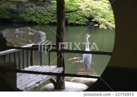 Japanese garden from a round window Japanese garden from a round window 22758953