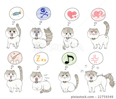 貓的感受 22759349