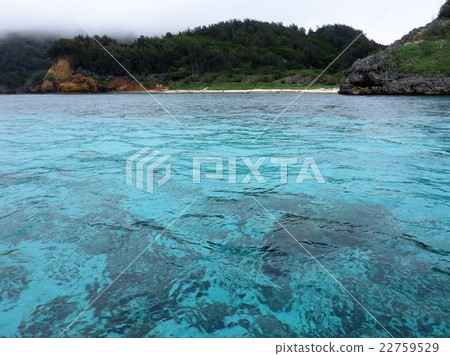 小笠原/知島群島 22759529