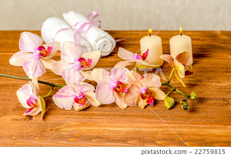 beautiful spa concept of blooming twig orchid 22759815