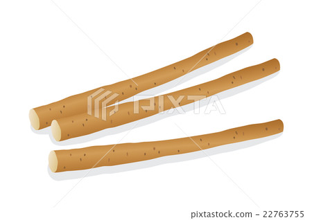 牛蒡根 牛蒡根 22763755