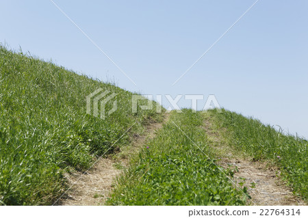 Agricultural road 22764314