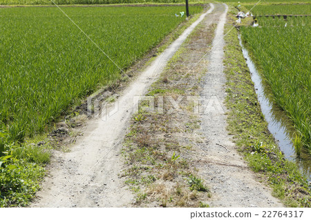 Agricultural road 22764317