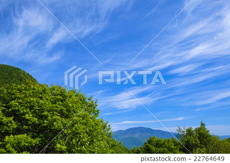 清新的綠色和藍天 22764649