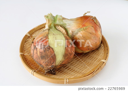 新洋蔥 新洋蔥 22765989