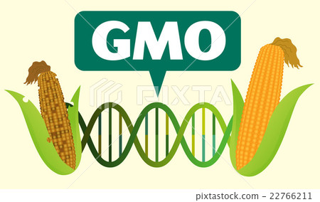 Genetically Modified Before After Image Illustration 22766211