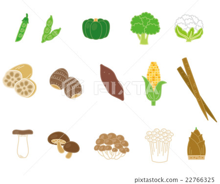 Vegetable material 22766325