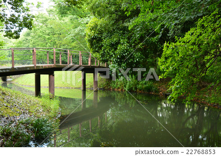 Small bridge 22768853