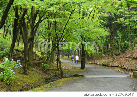 在路上 在路上 22769147