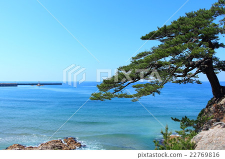 浦安海岸 22769816