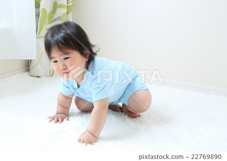 8個月的女孩 22769890