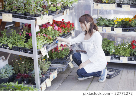 購物在一家從事園藝的商店的婦女 購物在一家從事園藝的商店的婦女 22771272