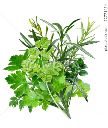 Herbes de Provence (combination of herbs) 22771434
