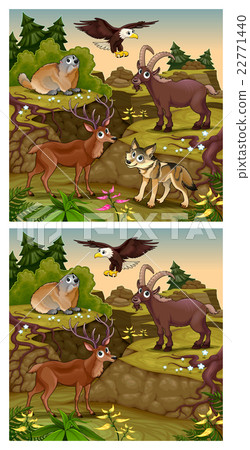 Spot the differences Spot the differences 22771440
