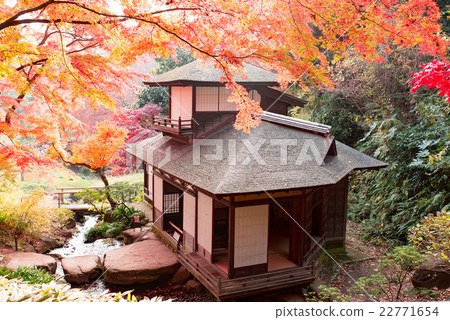Autumn leaves Yokohama Sankei Garden Hearing emperor's house 22771654