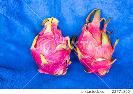 dragon fruit on a blue background 22771800