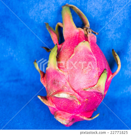 dragon fruit on a blue background 22771825