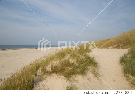 Blokhus Sand Beach 22771826