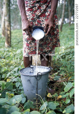 SRI LANKA HIKKADUWA RUBBER FACTORY 22772097